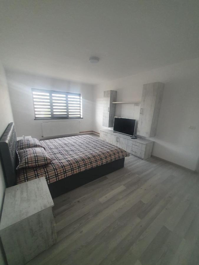 Apartament Nicole Curtea de Argeş Exterior foto